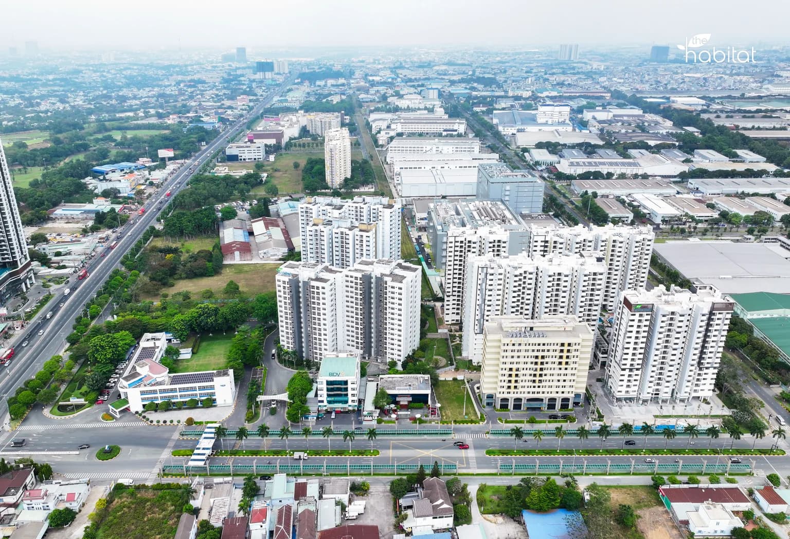 Hình ảnh thực tế The Habitat